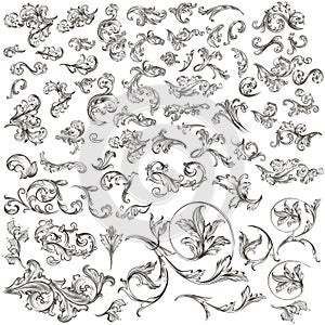 Huge collection of vintage vector hand drawn swirls photo