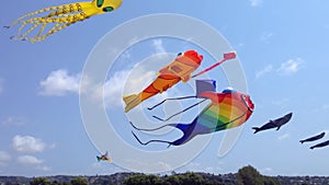 Huge colorful kites of sea creatures flying in a clear blue sky on a sunny day