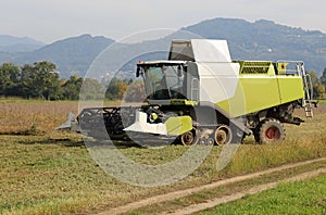 huge Combine harvesting during cereal harvesting