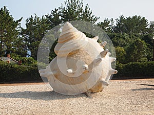 Huge conch model is located on the beach