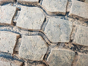 Huge construction loader tyre close up in wide view angle
