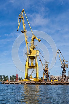 Huge cranes on the quay shipyard