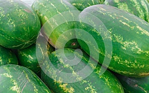 Huge delicious, sweet watermelons in the market