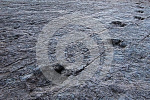 Huge dinosaur footprints, Maragua, Bolivia photo