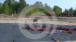 A huge dirty boot crushed a small tomato. Macro. He stepped in and crushed a tomato with his foot. Slow motion