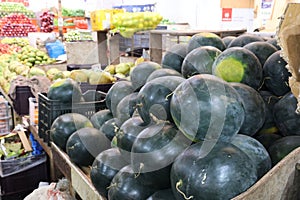 Water Melons at Fruit and Vegetable Market, Municipal Market, Panaji, Goa, India