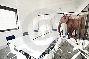 Huge elephant enter office room business concept