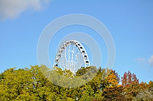 Huge Ferris wheel towering over trees.