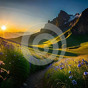 Huge field with green lawn with flowers, trees, mountain flowers and gardens and a sunset