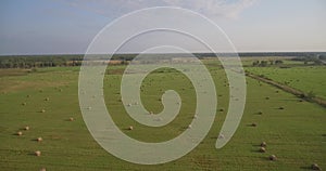 Huge field with hay bales, the rising up