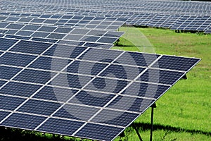 Huge field of solar power panels on meadow