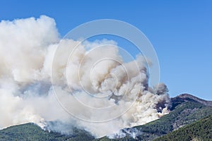 Huge fire in the woods of Monte Pisano threatens the inhabited centers of Vicopisano and Bientina, Tuscany, Italy