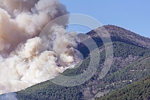 Huge fire in the woods of Monte Pisano threatens the inhabited centers of Vicopisano and Bientina, Tuscany, Italy