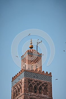 Huge flock of storks flying around the minaret of the Koutoubia mosque in the medina of Marrakech, Morocco. Captured