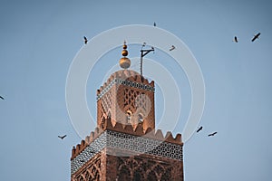 Huge flock of storks flying around the minaret of the Koutoubia mosque in the medina of Marrakech, Morocco. Captured