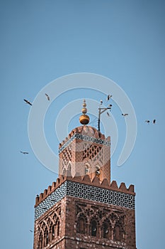 Huge flock of storks flying around the minaret of the Koutoubia mosque in the medina of Marrakech, Morocco. Captured