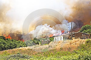 Huge forest fire threatens homes