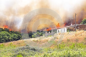 Huge forest fire threatens homes