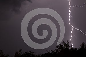 Huge fork lightnings and thunder during heavy summer storm.