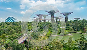 Huge futuristic trees in an exotic garden