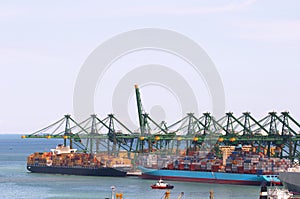 Huge gantry cranes and cargo container ships