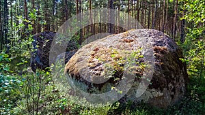 A huge granite boulder with a deep forest.