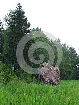 huge granite stone on edge of forest