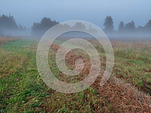 Huge grass field in a Latvian country side in a fog with trees at sunrise. Calm and relaxed atmosphere. Nobody. Agriculture and