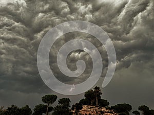 Huge gray clouds with lightning in the sky over many of trees