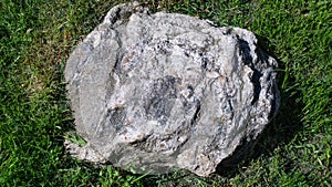 Huge gray stone in green grass