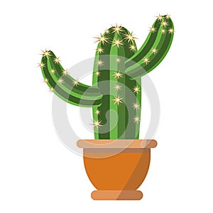 Huge green cactus plant vector illustration with beautiful thorns and brown flower pot isolated on white background