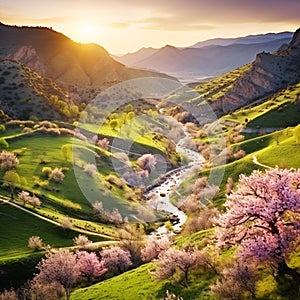 Huge green field with flowers, trees, mountain flowers and a sunset