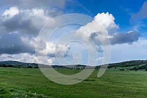 A huge green field of grass under blue sky and white clouds.