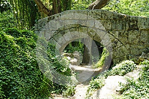 Green forestal, park in havana photo