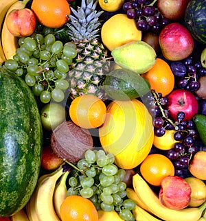 Huge group of fresh fruit - High quality studi shot