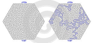 Huge hexagonal labyrinth of high complexity with solution. Black and white complex maze with very high level of