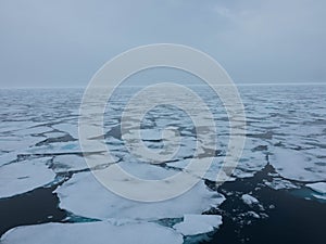 Huge ice floes in the Artic Ocean in the North Pole region. Concept for climate change, global warming, north pole, cold nature.