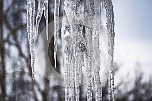 A huge icicle hangs from the roof of the building.