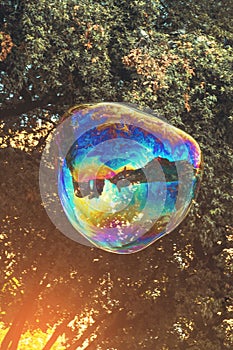 Huge iridescent soap bubble on a background of trees.