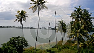 Huge lake in a forest with palm trees