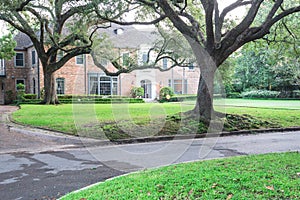 Huge live oak tree house Houston, Texas, USA