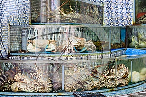 Seafood Market Fish Tanks in Sai Kung, Hong Kong
