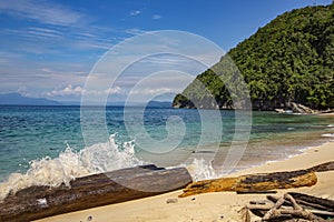 Huge log on Pantai Base beach in Sentani, Jayapura