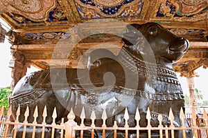 Huge monolithic Nandi, Brihadisvara Temple, Tanjore, Tamil Nadu. View from East.