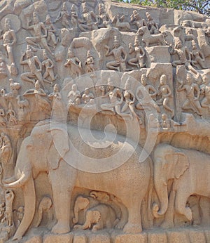 The huge monument Descent of the Ganges portrayed in single stone
