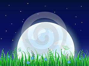 Huge moon with grass meadow