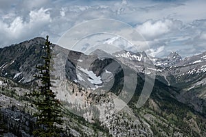 Huge mountains in the Rockies from the mount Fernie photo