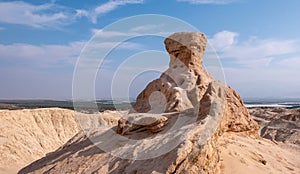 Huge mushroom shaped rock formation in the remote desert region.