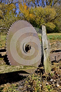 Huge old circular saw blade