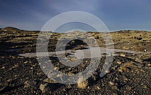 Huge old lava fields overgrown with Icelandic moss in an open-air emerald color